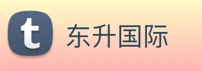 东升国际 logo